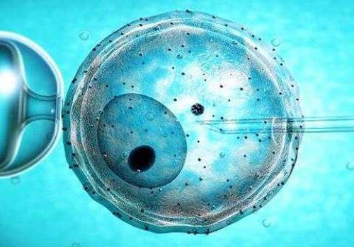 上海代怀生子机构：﻿海口三代试管助孕攻略分享，费用和成功率一目了然